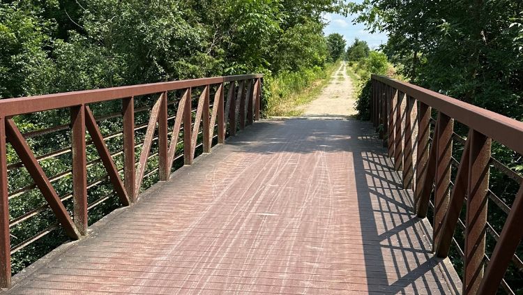 image, rail trail, 