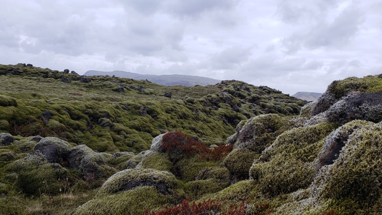 photo, image, lava field, road trip iceland