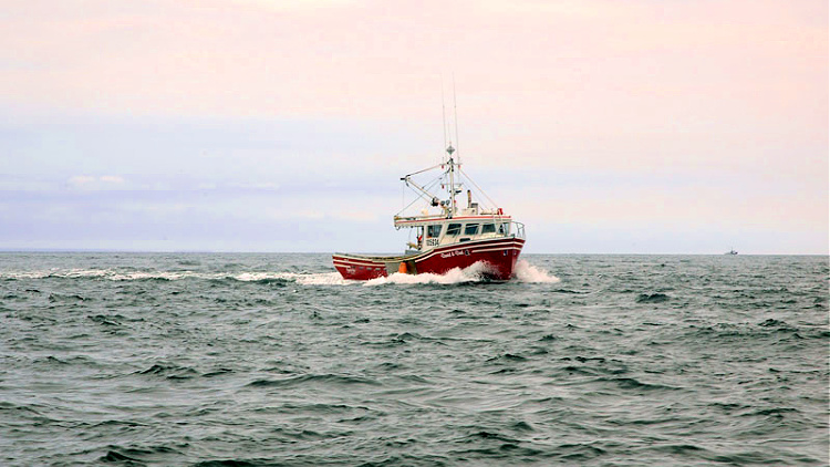 Add a stop in Wedgeport to take a Tusket Island Tour while circumnavigating Nova Scotia.