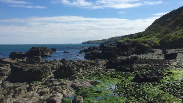 At the beginning (or the end) of The Gobbins.