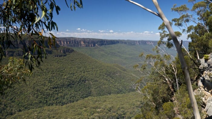 The Beauty of the blue Mountains goes on forever.