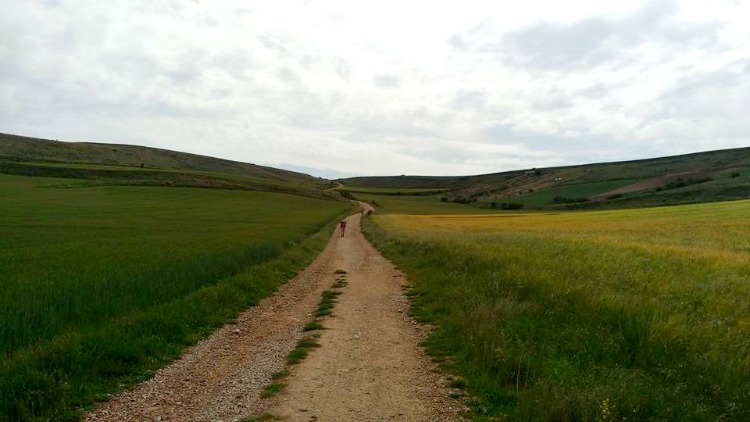 hornillos road, camino de santiago