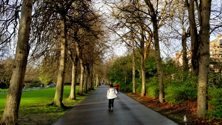 photo, image, st, stephen's green, exploring ireland