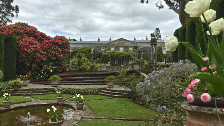 photo, image, garden, solo travel northern ireland