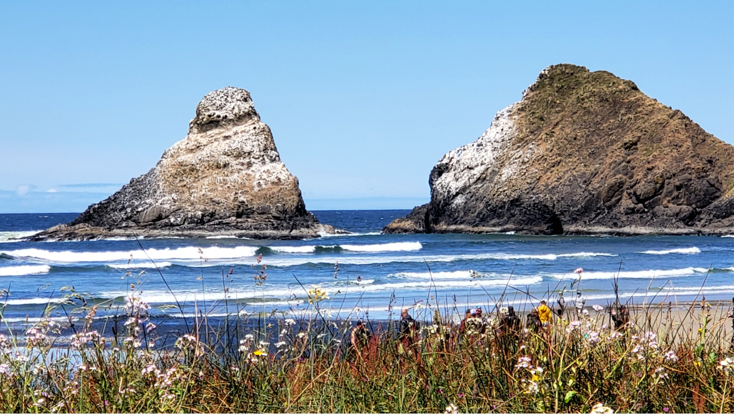 The sea stacks at Heceta Beach near Florence Oregon