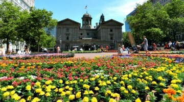 photo, image, portland, pioneer courthouse