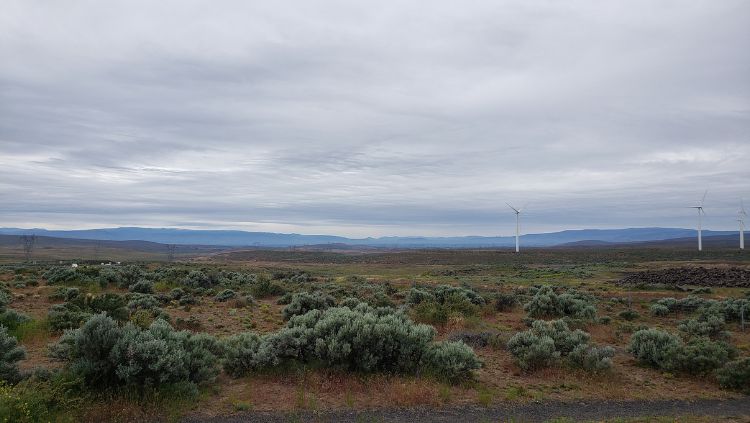 the columbia river basin in washington state is mostly semi-arid