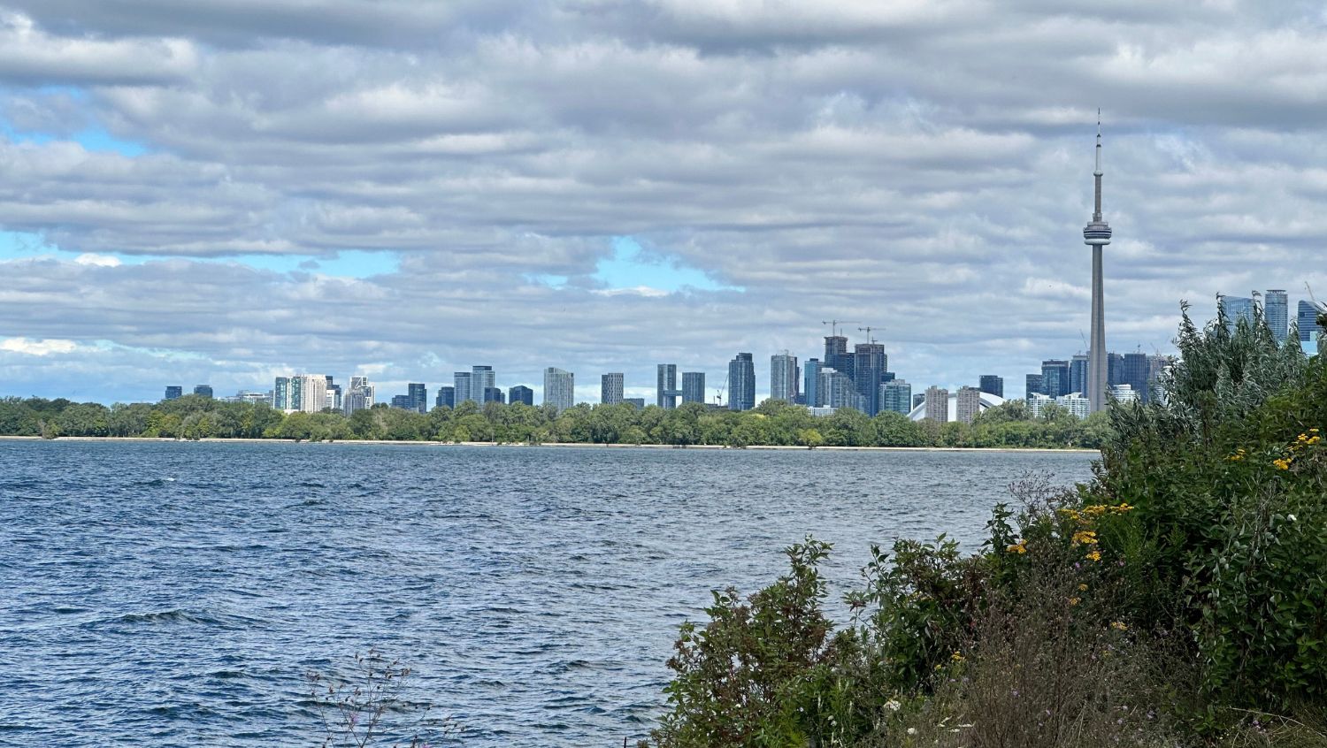 photo, image, downtown toronto from urban hiking traili