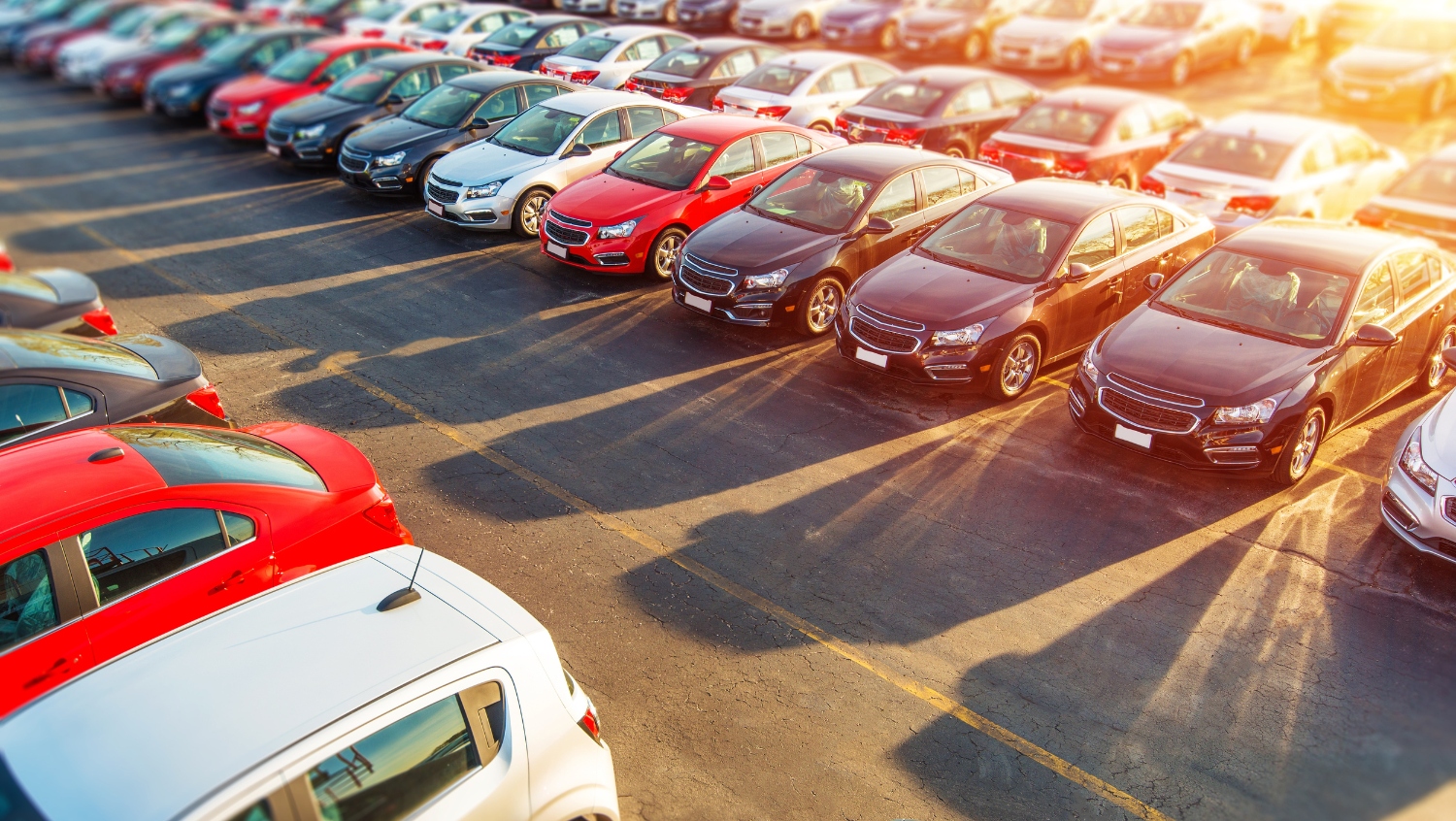 A lot full of rental cars