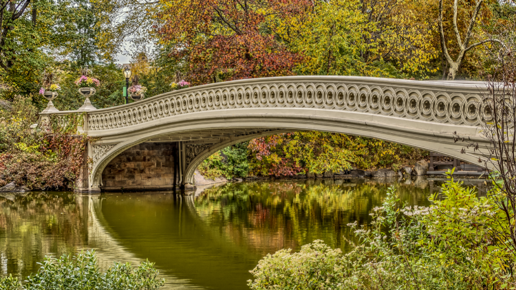 a walk through central park is a must when you travel solo on a budget in new york city